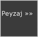 Peyzaj & aalandrma sayfas 