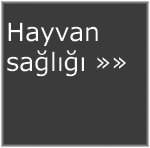 Hayvan sal sayfas 