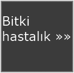 Bitkisel retimde hastalklar sayfas 