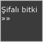 ifal bitki - salk & bakm sayfas 